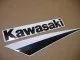 Kawasaki ZX-9R 2003 - Grün/Schwarze Version - Dekorset