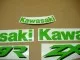 Kawasaki ZX-9R - Grün - Custom-Dekorset