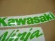 Kawasaki ZX-10R 2008 - Grün - Custom-Dekorset