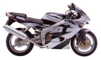 Kawasaki ZX-6R 2000 - Silver Version - Decalset