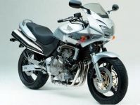 Honda Hornet CB 600S 2002 - Silbere Version - Dekorset