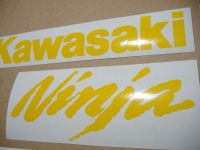 Kawasaki ZX-6R - Yellow - Custom-Decalset