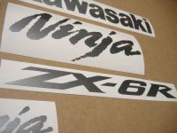 Kawasaki ZX-6R - Graphitgrau - Custom-Dekorset