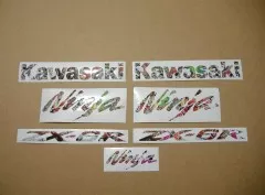 Kawasaki ZX-6R - Grafitti - Custom-Dekorset