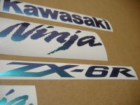 Kawasaki ZX-6R - FlipFlop - Custom-Dekorset