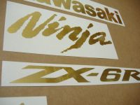 Kawasaki ZX-6R - Gebürstetes Gold - Custom-Dekorset