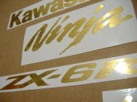 Kawasaki ZX-6R - Gebürstetes Gold - Custom-Dekorset