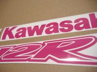 Kawasaki ZX-12R - Pink - Custom-Dekorset