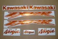 Kawasaki ZX-12R - Chrome-Orange - Custom-Decalset