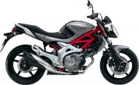 Suzuki Gladius 2013 - Graue Version - Dekorset