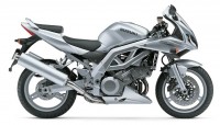 Suzuki SV 1000S 2004 - Silber Version - Dekorset