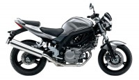 Suzuki SV 650 2009 - Silber Version - Dekorset