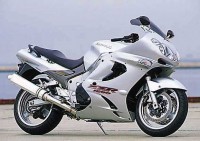 Kawasaki ZZR 1200 2003 - Silver Version - Decalset