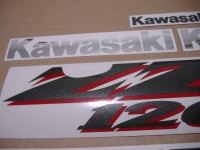 Kawasaki ZZR 1200 2003 - Silber Version - Dekorset