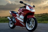 Honda CBR 600 F2 - Rot/Weiße Version - Dekorset