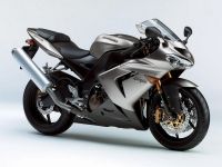 Kawasaki ZX-10R 2005 - Silber Version - Dekorset