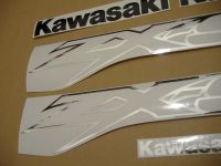 Kawasaki ZX-9R 2003 - Graue Version - Dekorset