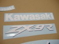 Kawasaki ZX-9R 1999 - Green Version - Decalset