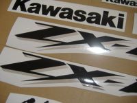 Kawasaki ZX-12R 2004 - Silber Version - Dekorset