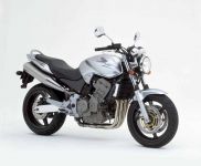 Honda CB900F Hornet 2006 - Silver Version Decalset