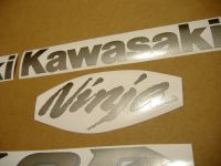 Kawasaki ZX-6R 2004 - Silber Version - Dekorset