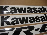 Kawasaki ER-6F 2006 - Green Version - Decalset