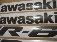 Kawasaki ER-6F 2007 - Silver Version - Decalset