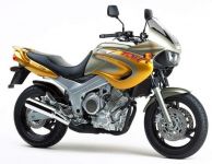 Yamaha TDM 850 4TX 1999 - Gold/Silber Version - Dekorset