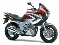 Yamaha TDM 850 4TX 2001 - Burgunder/Silber Version - Dekorset