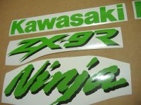 Kawasaki ZX-9R - Green - Custom-Decalset