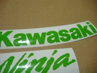 Kawasaki ZX-10R 2008 - Green - Custom-Decalset